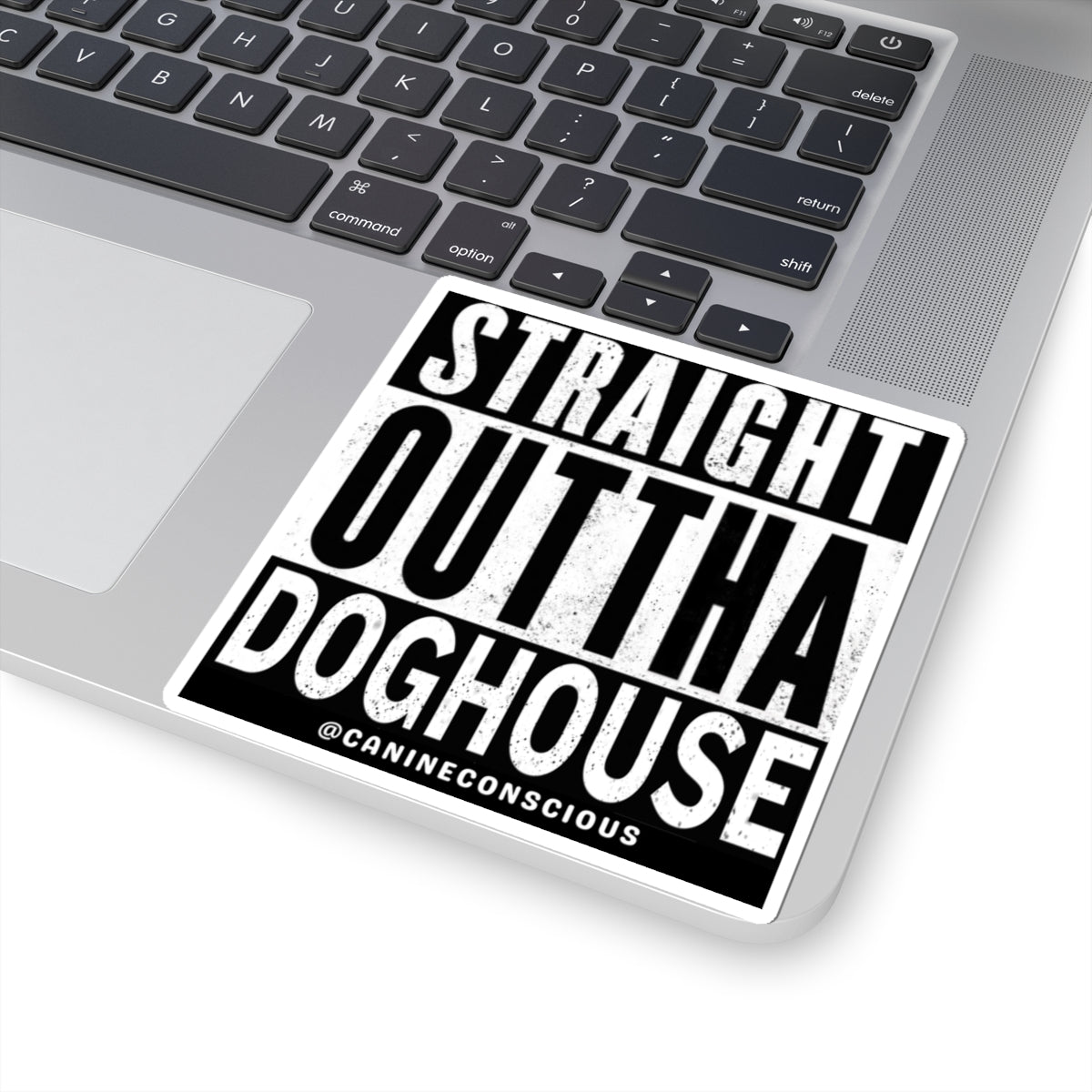 Straight Outta Doghouse-Stickers