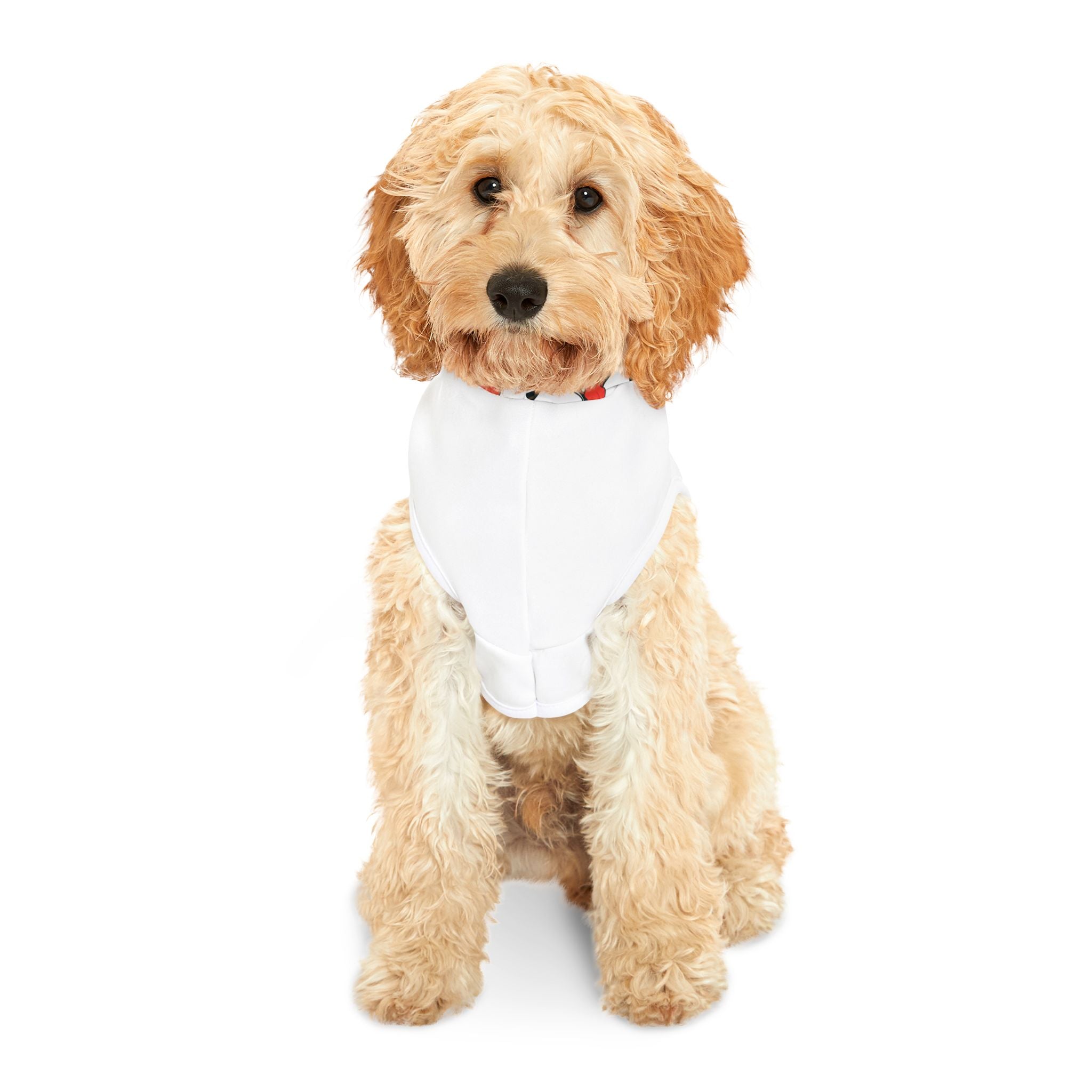 Straight Outtha DOGHOUSE-Dog Hoodie