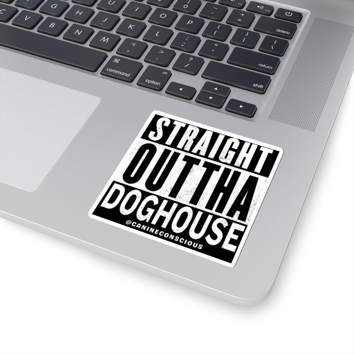 Straight Outta Doghouse-Stickers