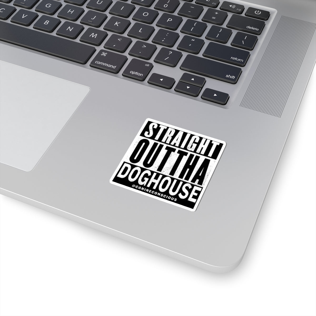 Straight Outta Doghouse-Stickers