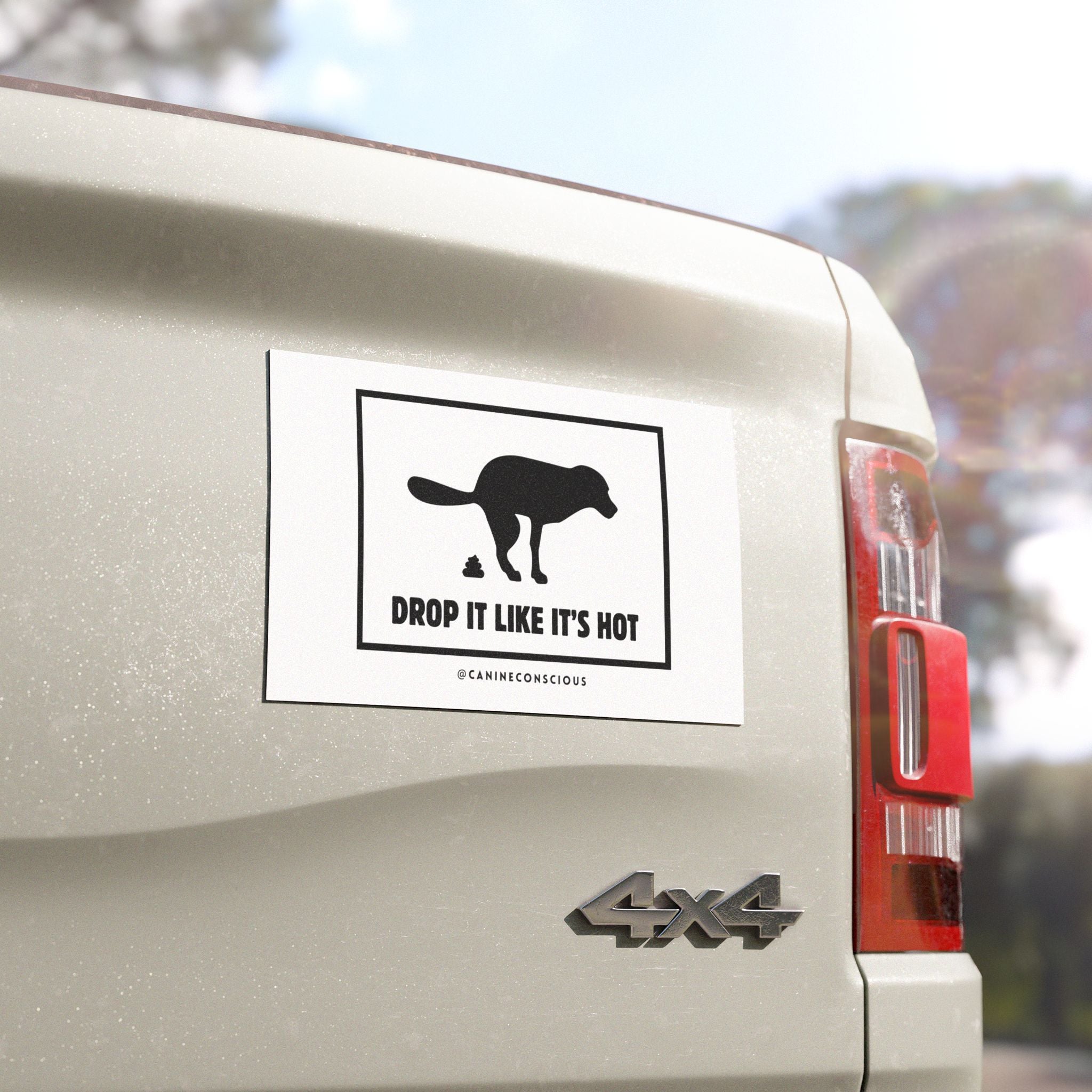 Drop it like it's hot-Car Magnets