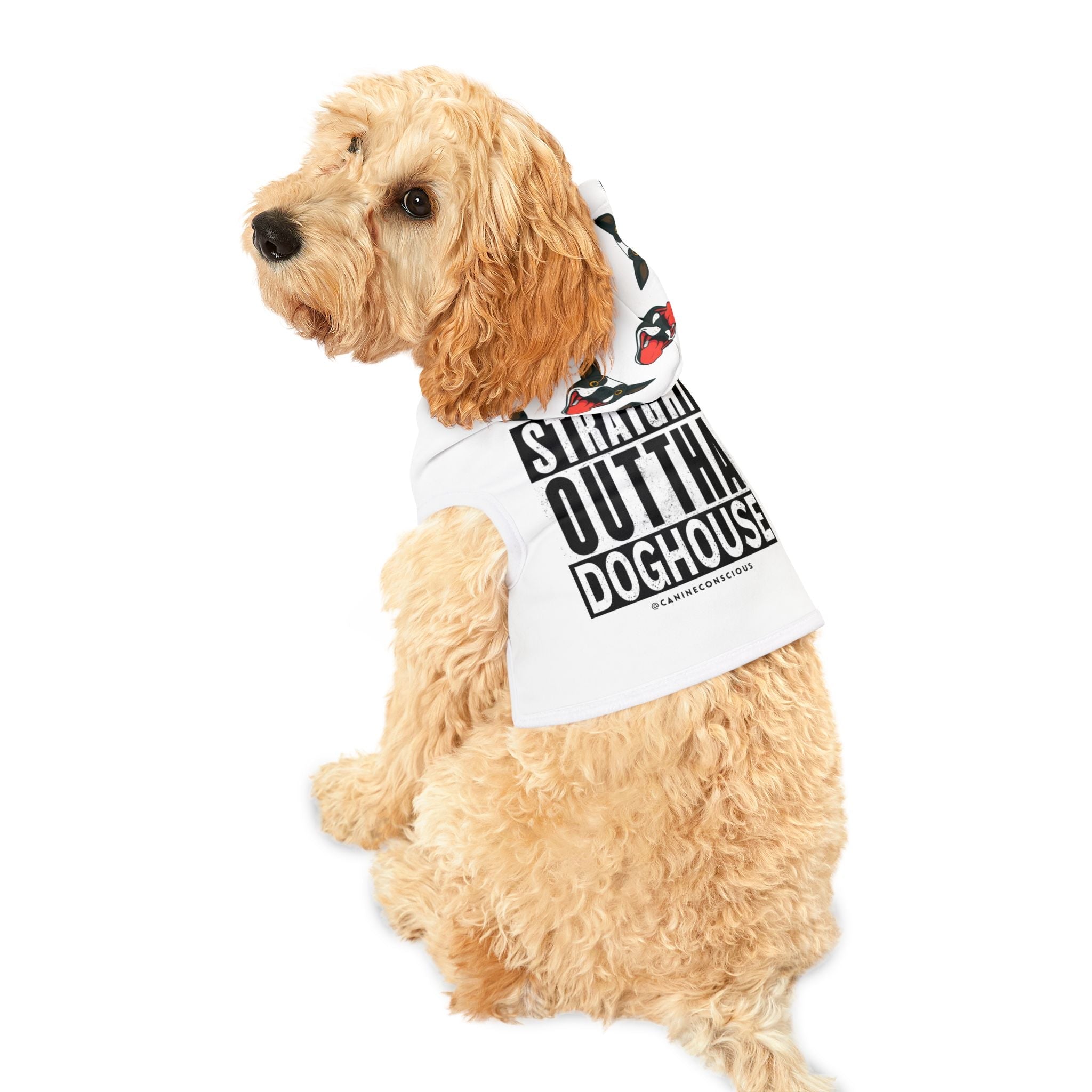 Soulful Style for Your Faithful Friend
