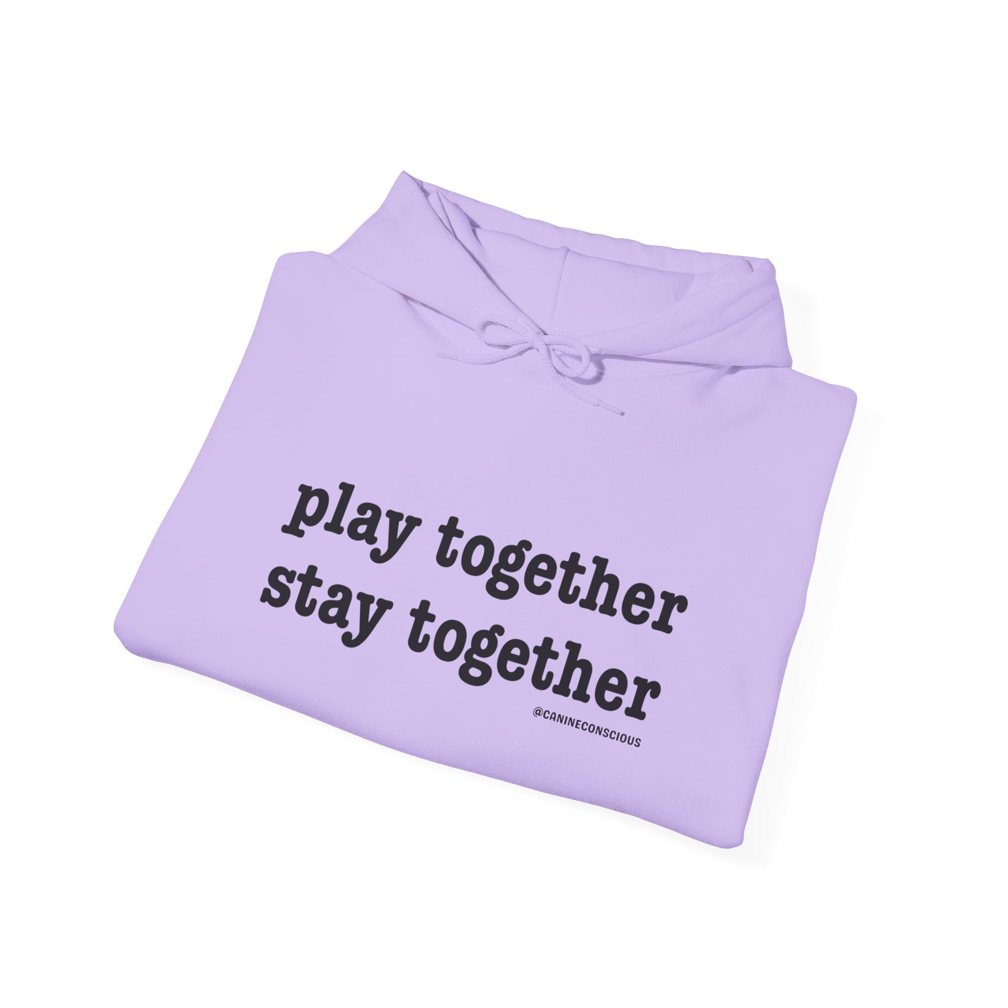 Stay together Play together - Hoodie