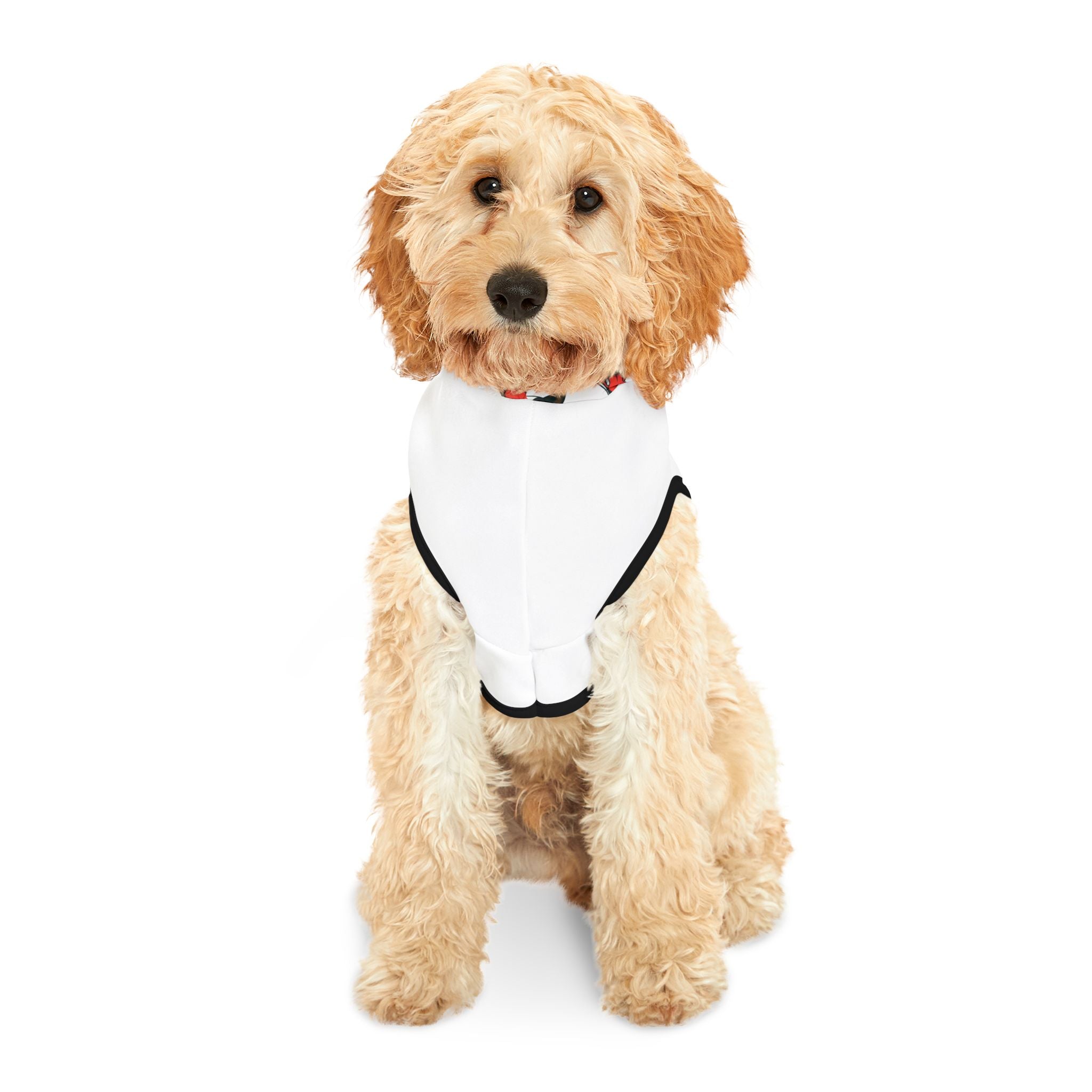 Straight Outtha DOGHOUSE - Dog Hoodie