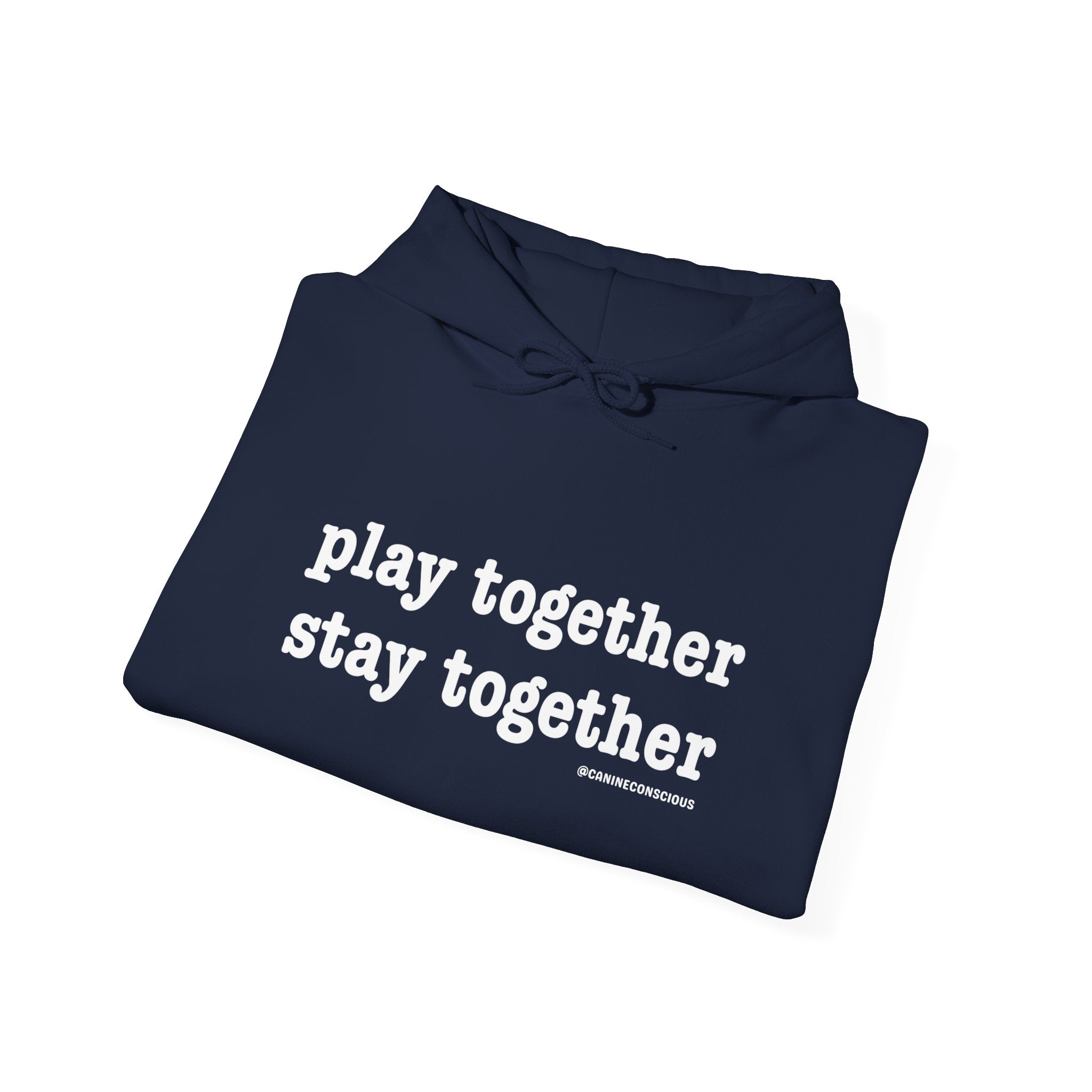 Stay together Play together - Hoodie