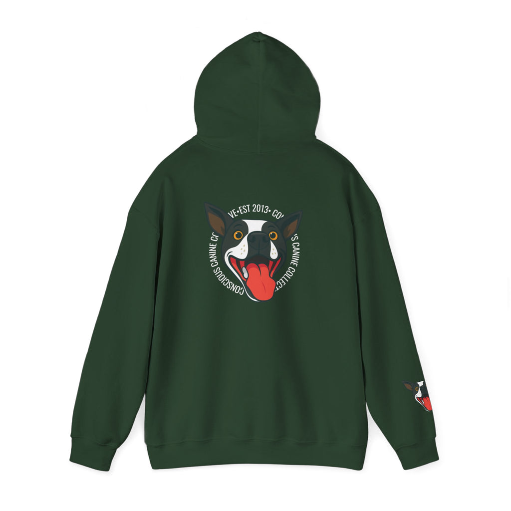 Stay together Play together - Hoodie