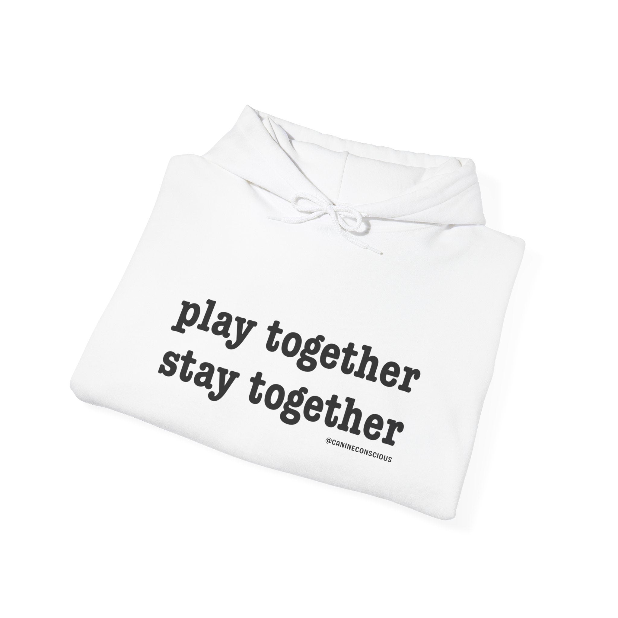 Stay together Play together - Hoodie