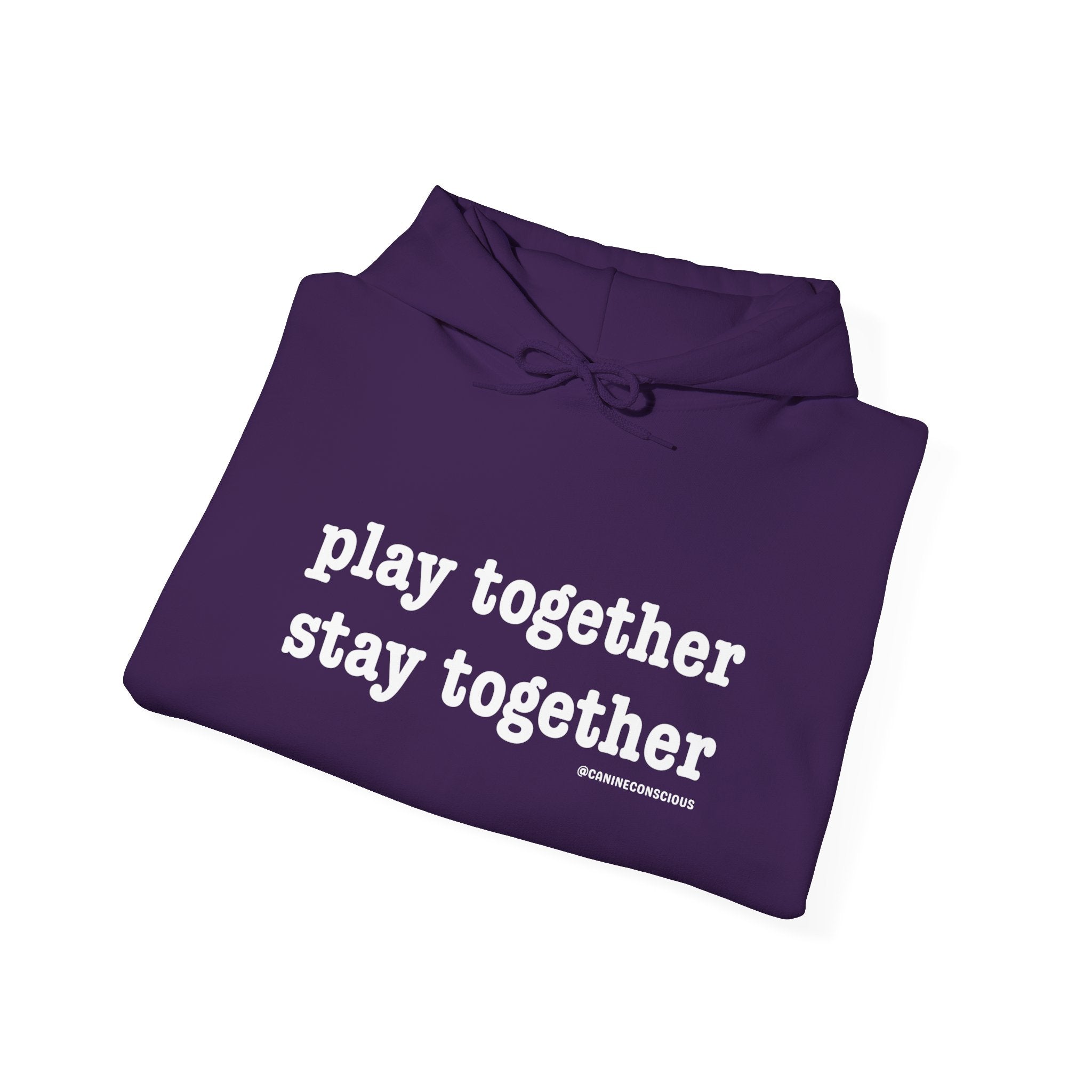 Stay together Play together - Hoodie