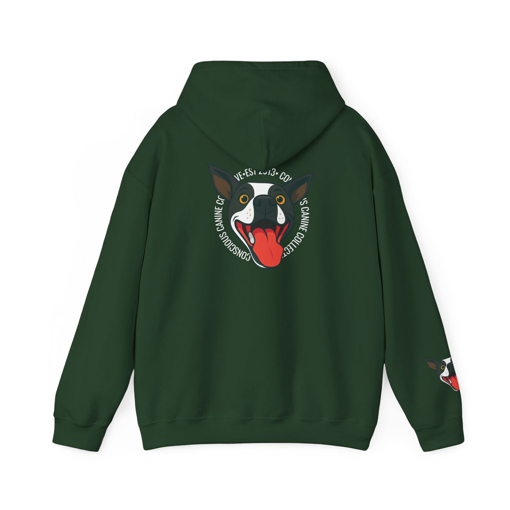 Stay together Play together - Hoodie