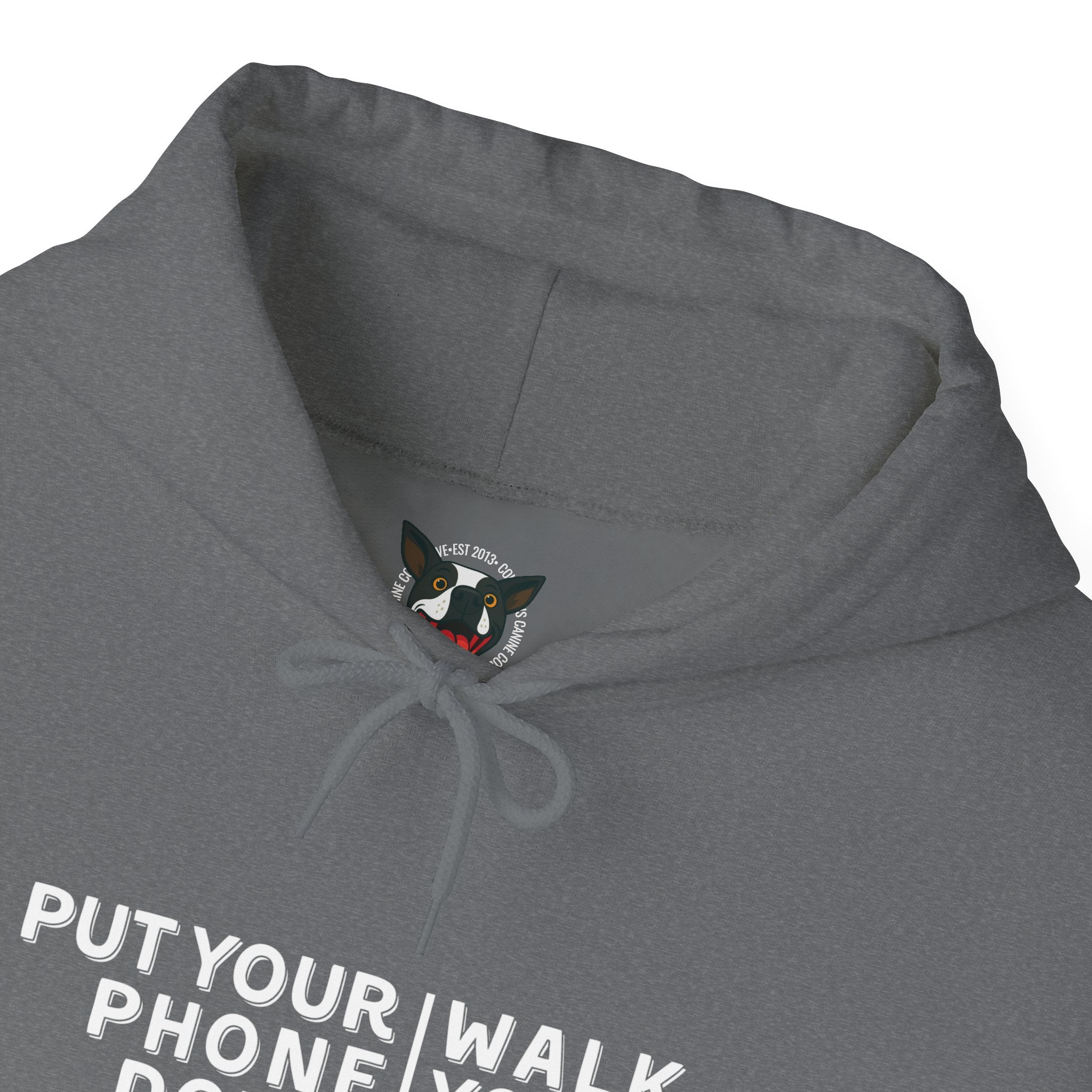 Put your phone down\Walk your dog™- Hoodie