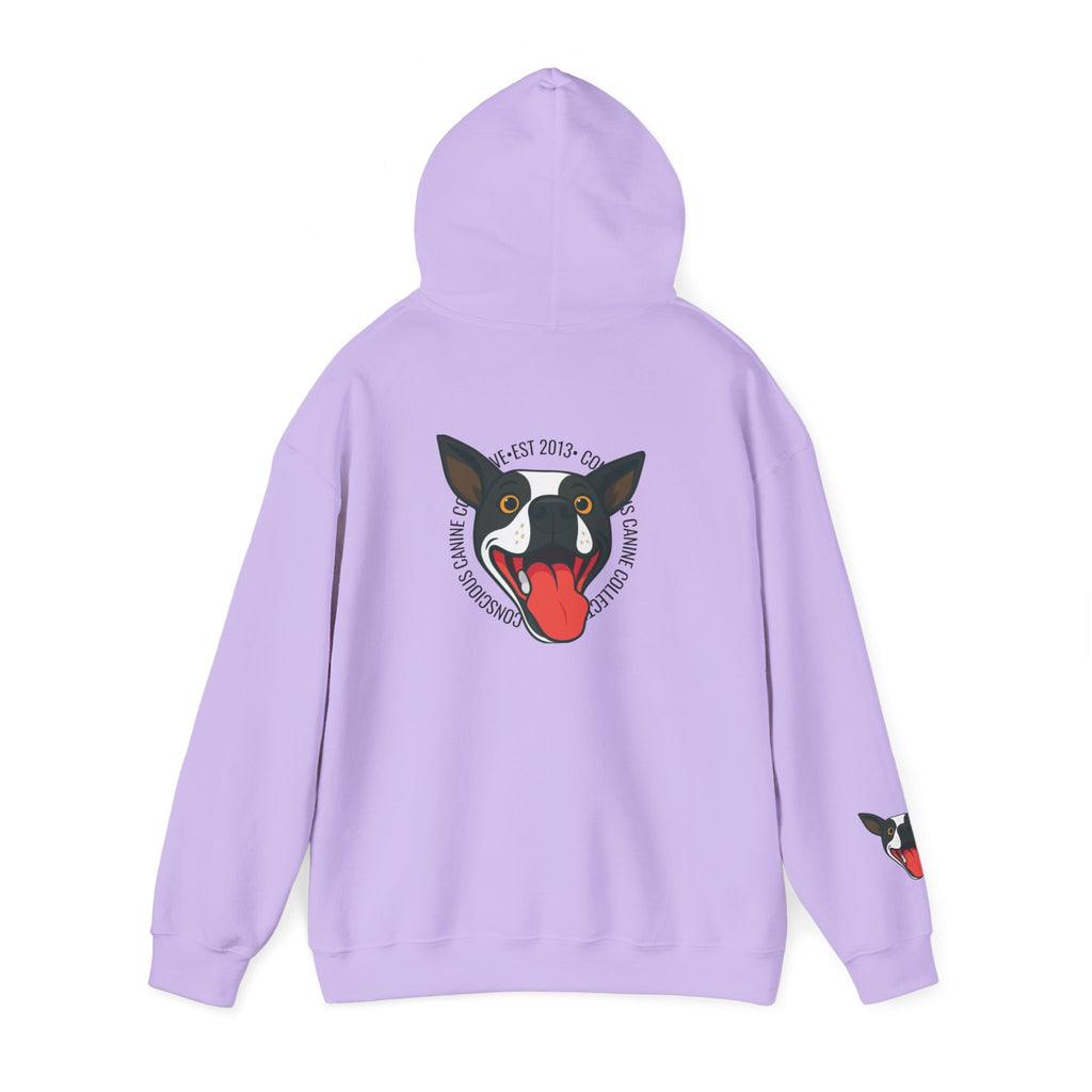 Stay together Play together - Hoodie