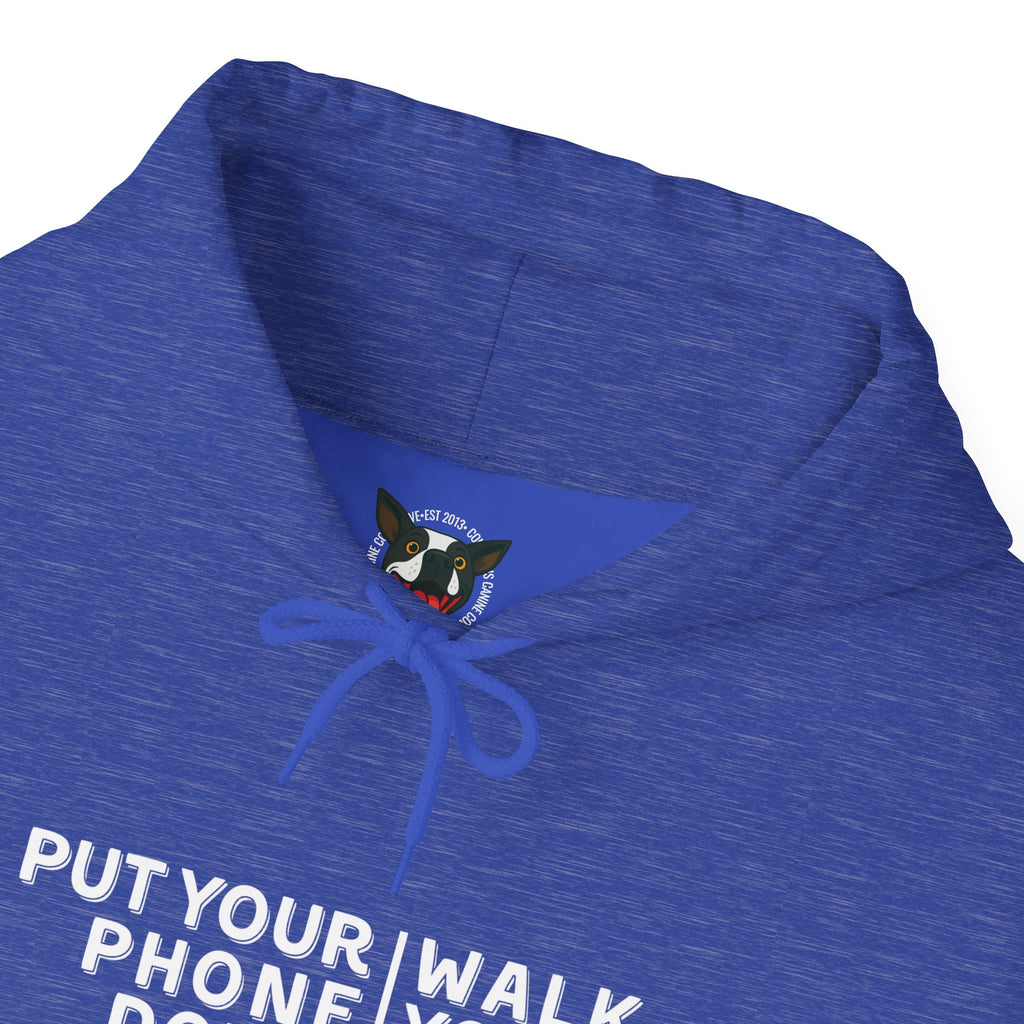 Put your phone down\Walk your dog™- Hoodie