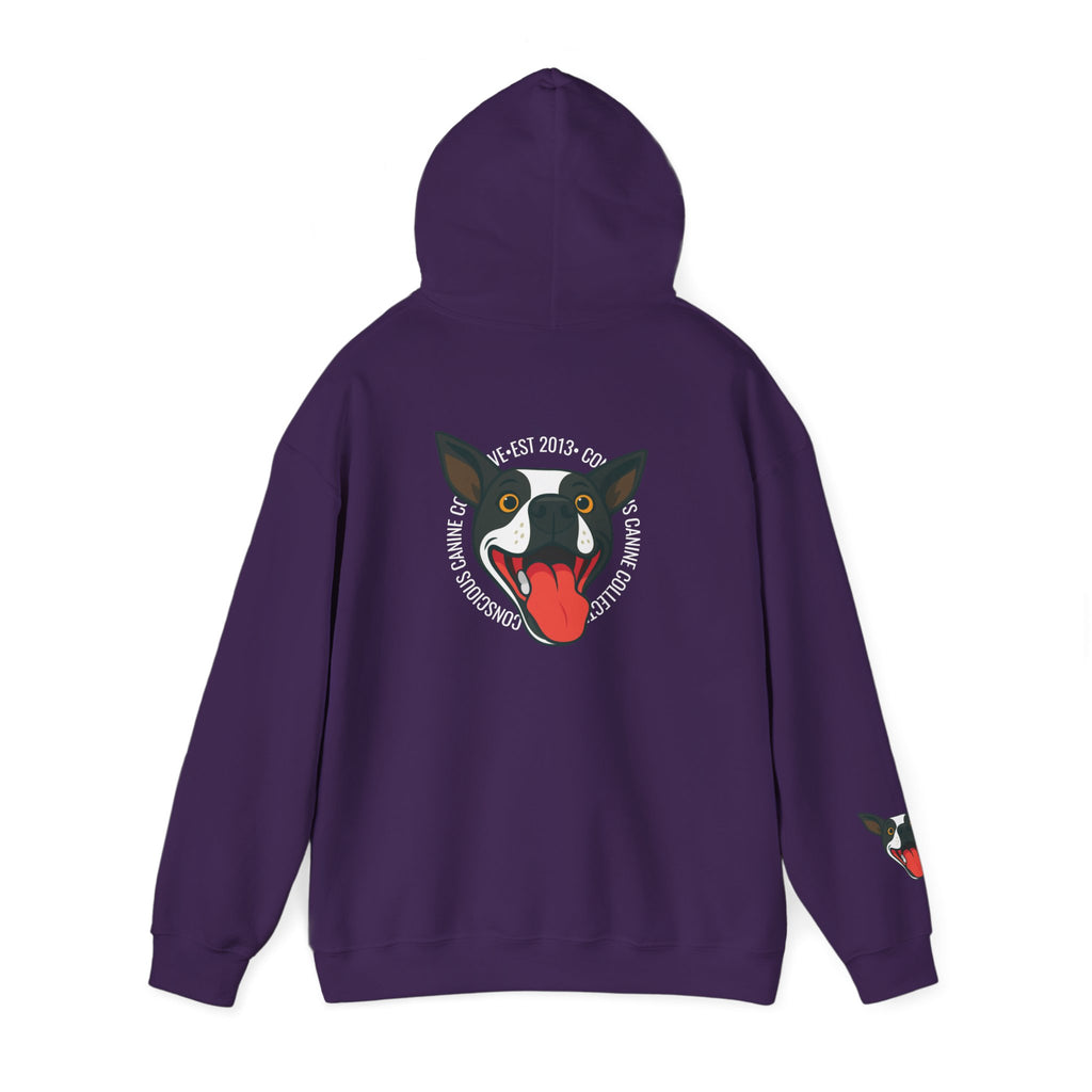 Stay together Play together - Hoodie