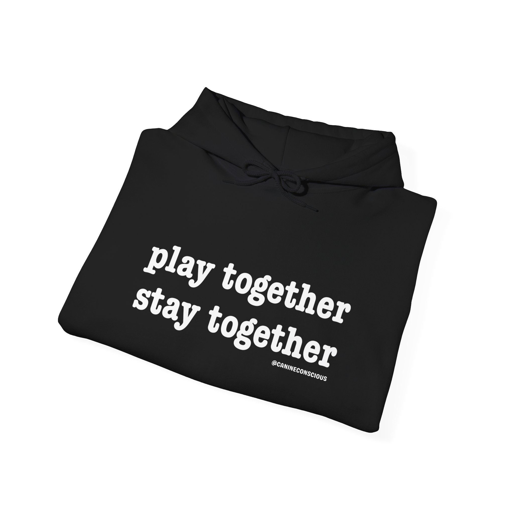 Stay together Play together - Hoodie