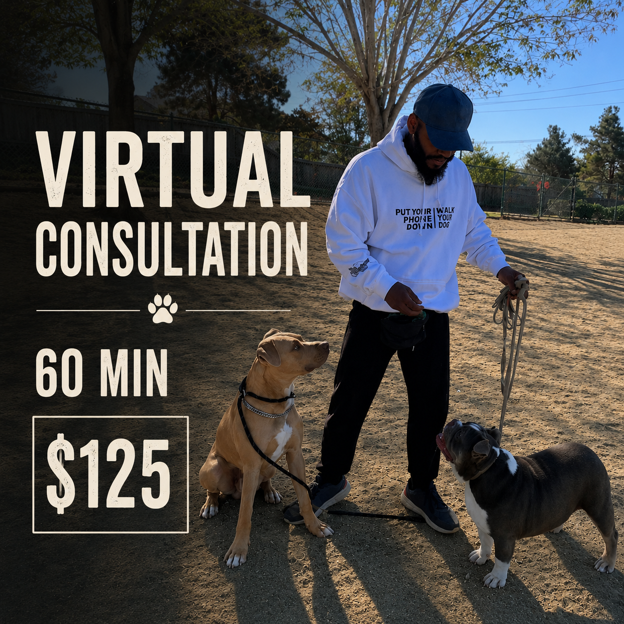 Dog Virtual Consultation