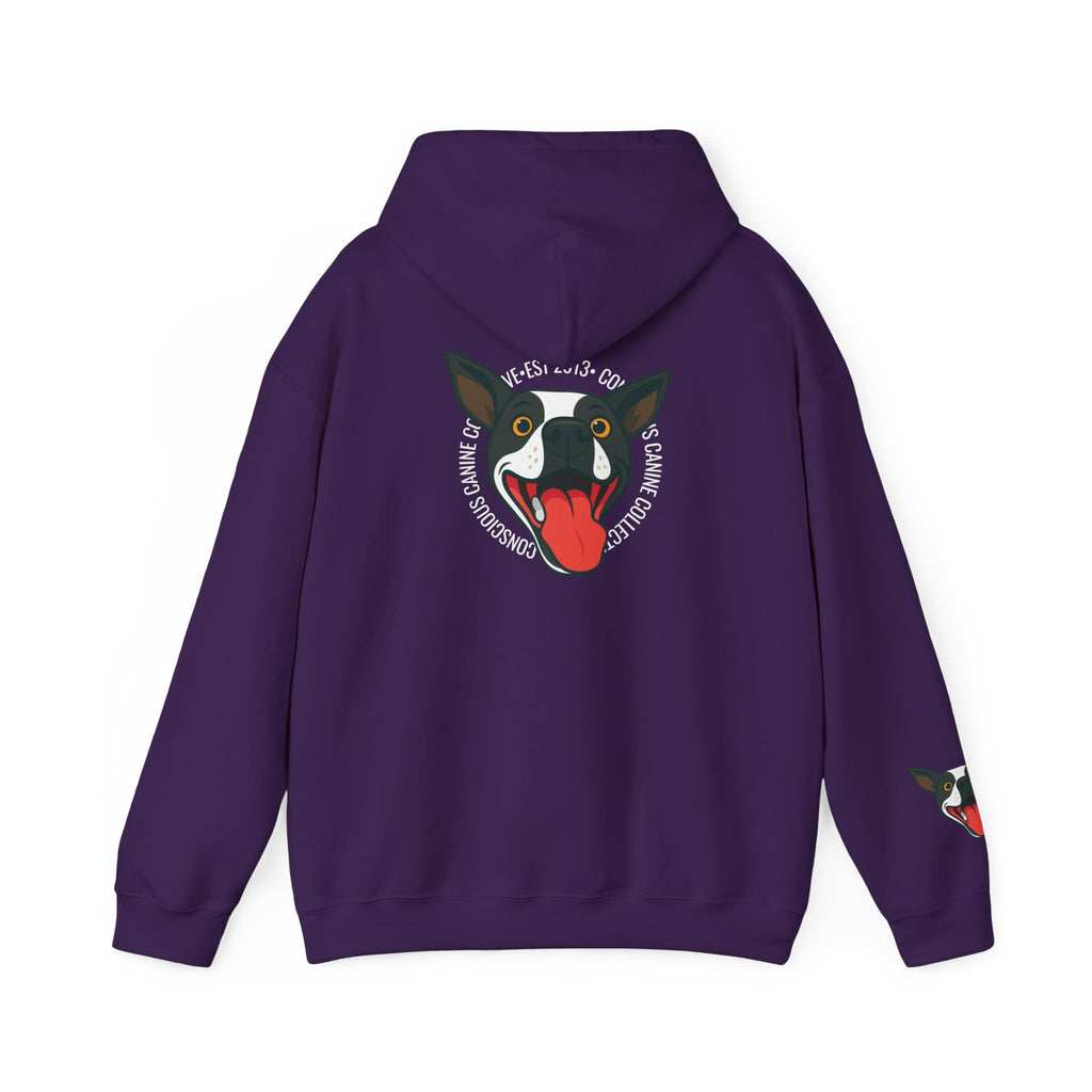 Stay together Play together - Hoodie