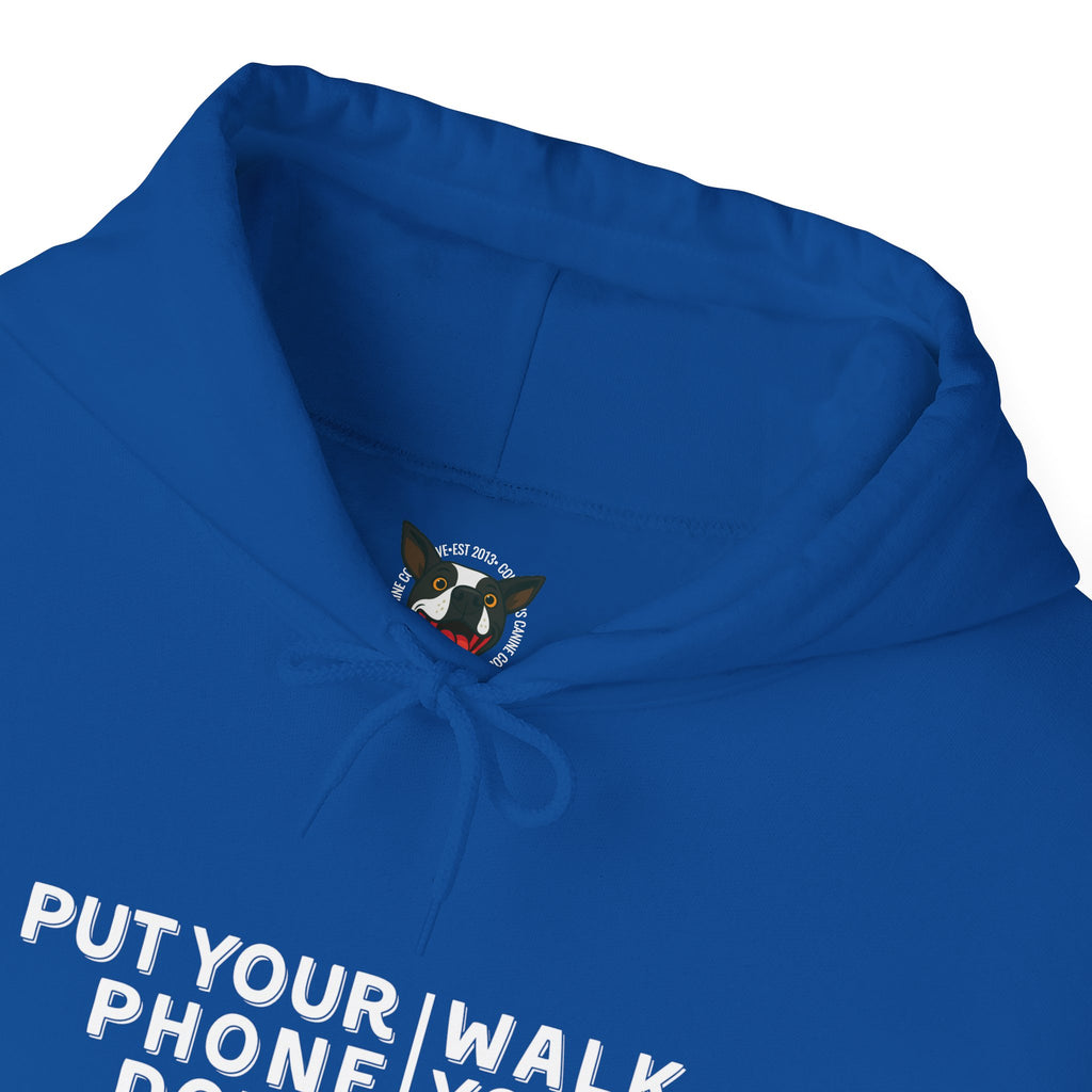 Put your phone down\Walk your dog™- Hoodie
