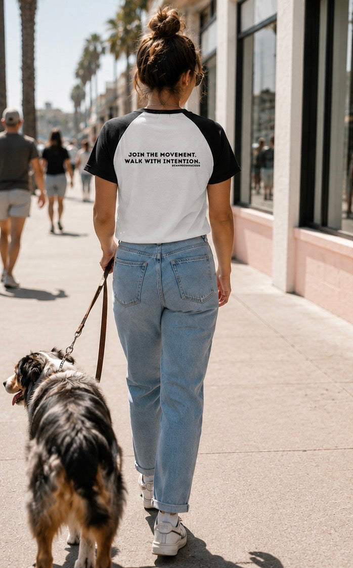 We Don't Beg Raglan Tee — Women's Empowerment Graphic Baby Tee