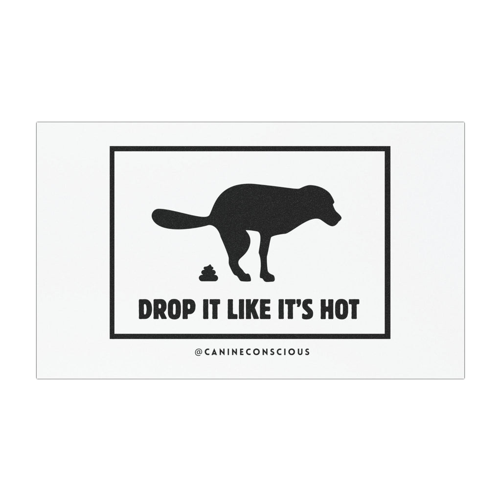 Drop it like it's hot-Car Magnets