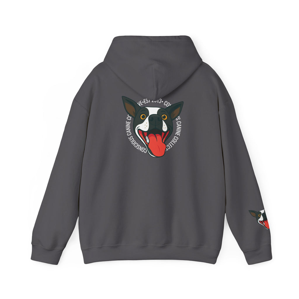 Stay together Play together - Hoodie