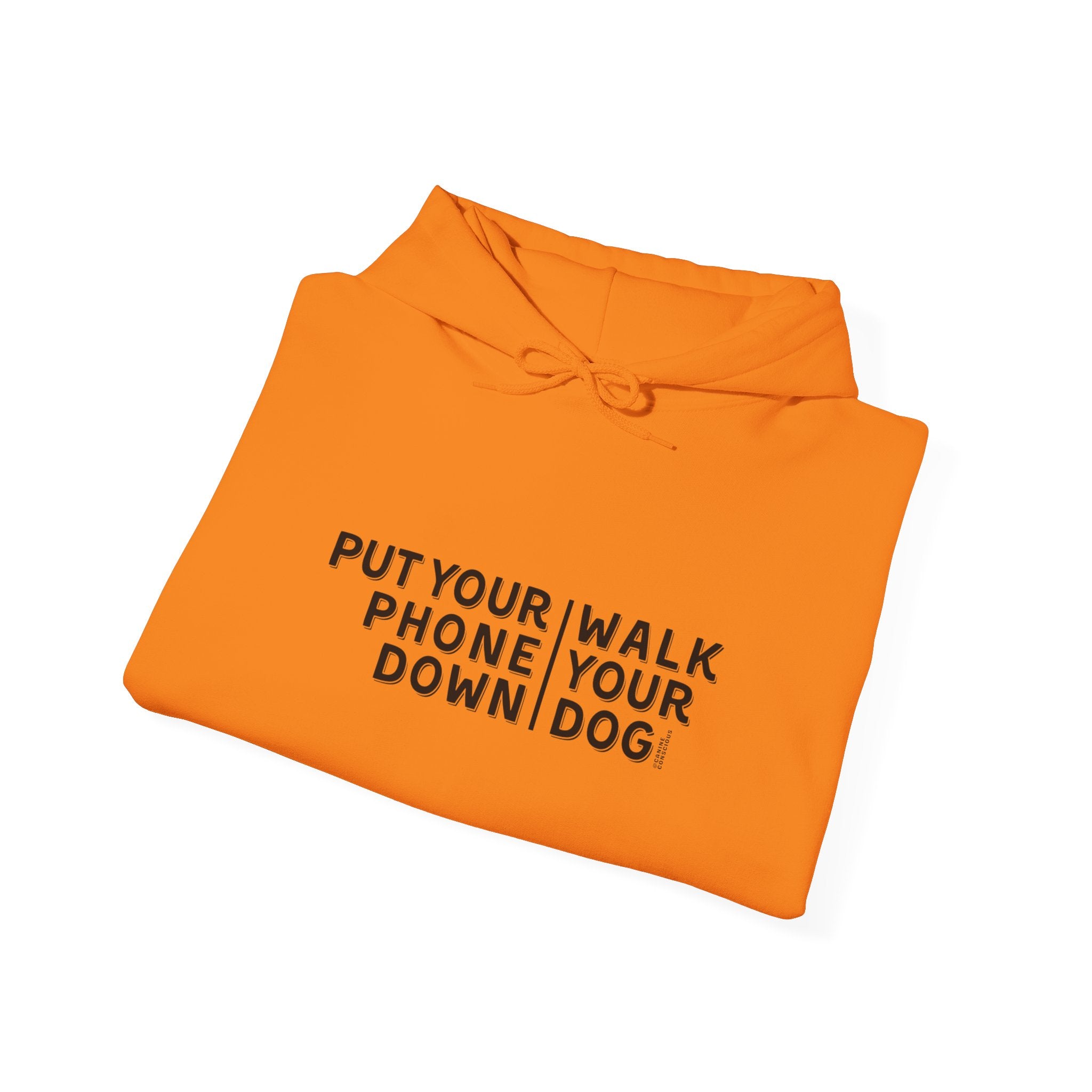 Put your phone down\Walk your dog™- Hoodie