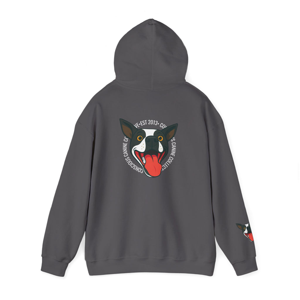 Stay together Play together - Hoodie