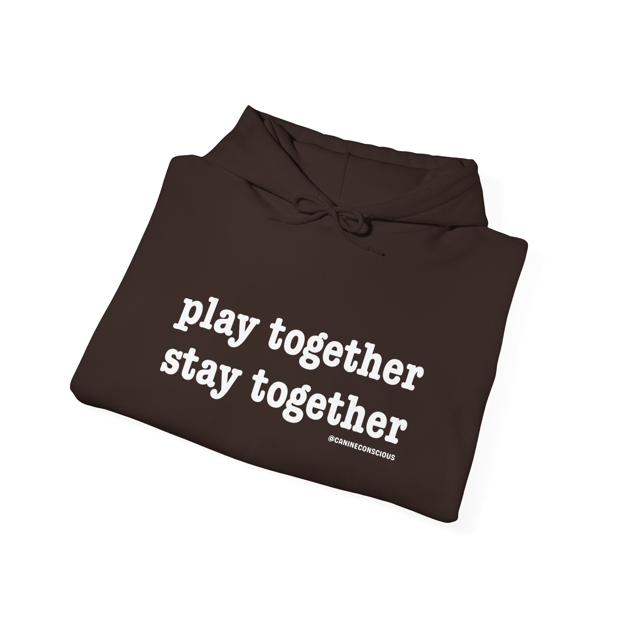Stay together Play together - Hoodie