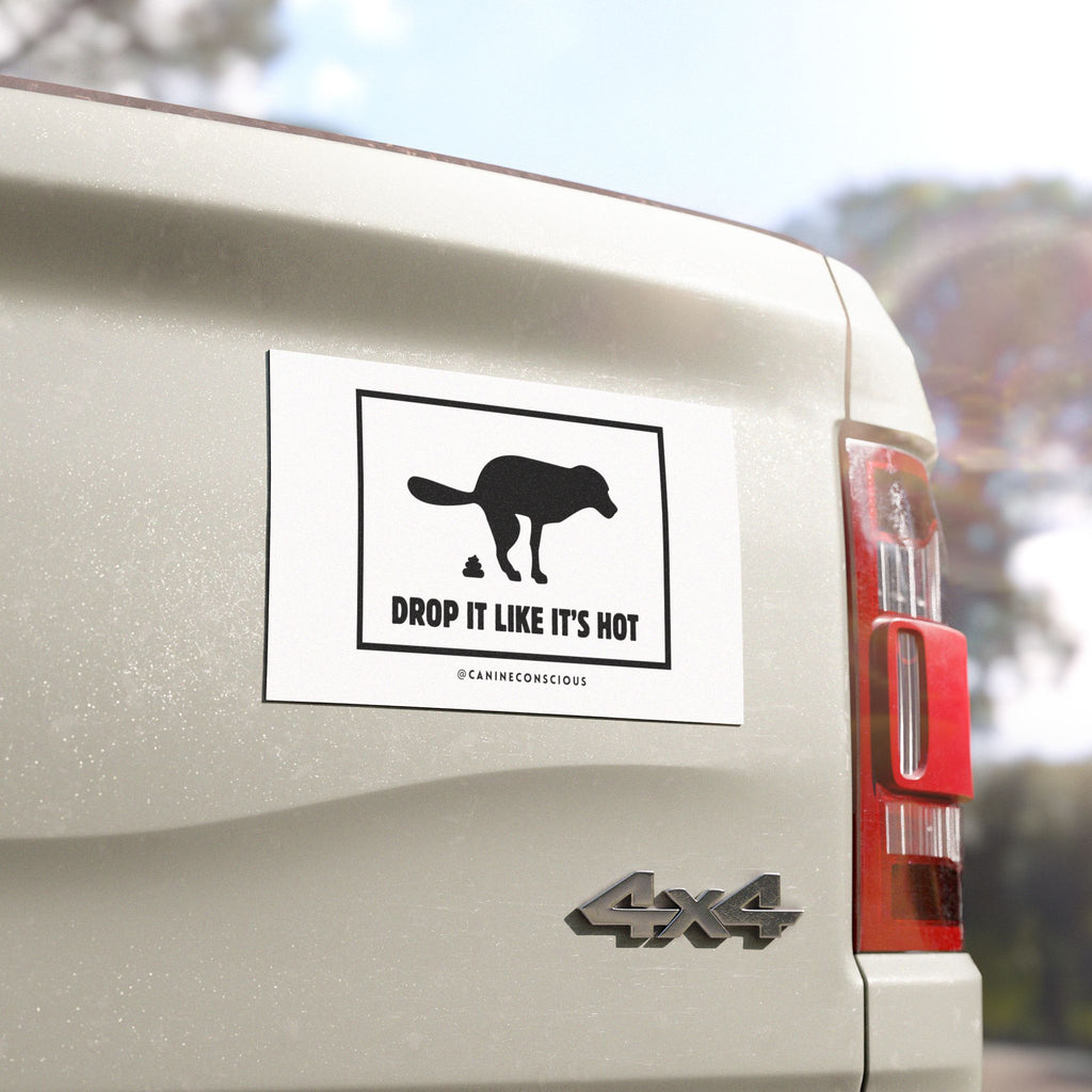 Drop it like it's hot-Car Magnets