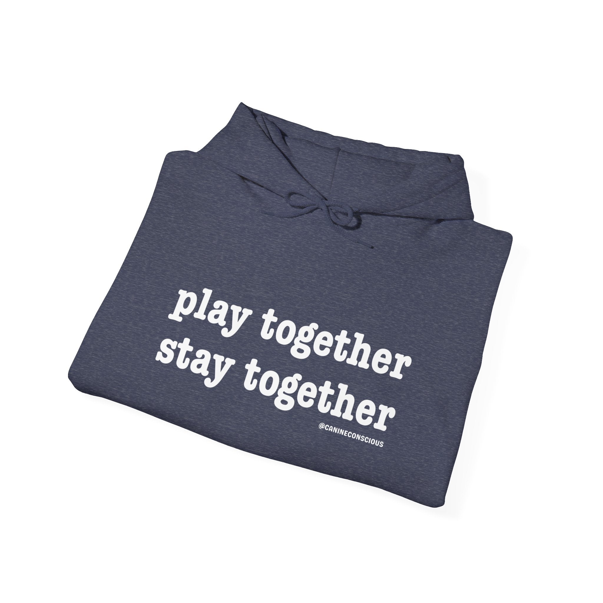 Stay together Play together - Hoodie