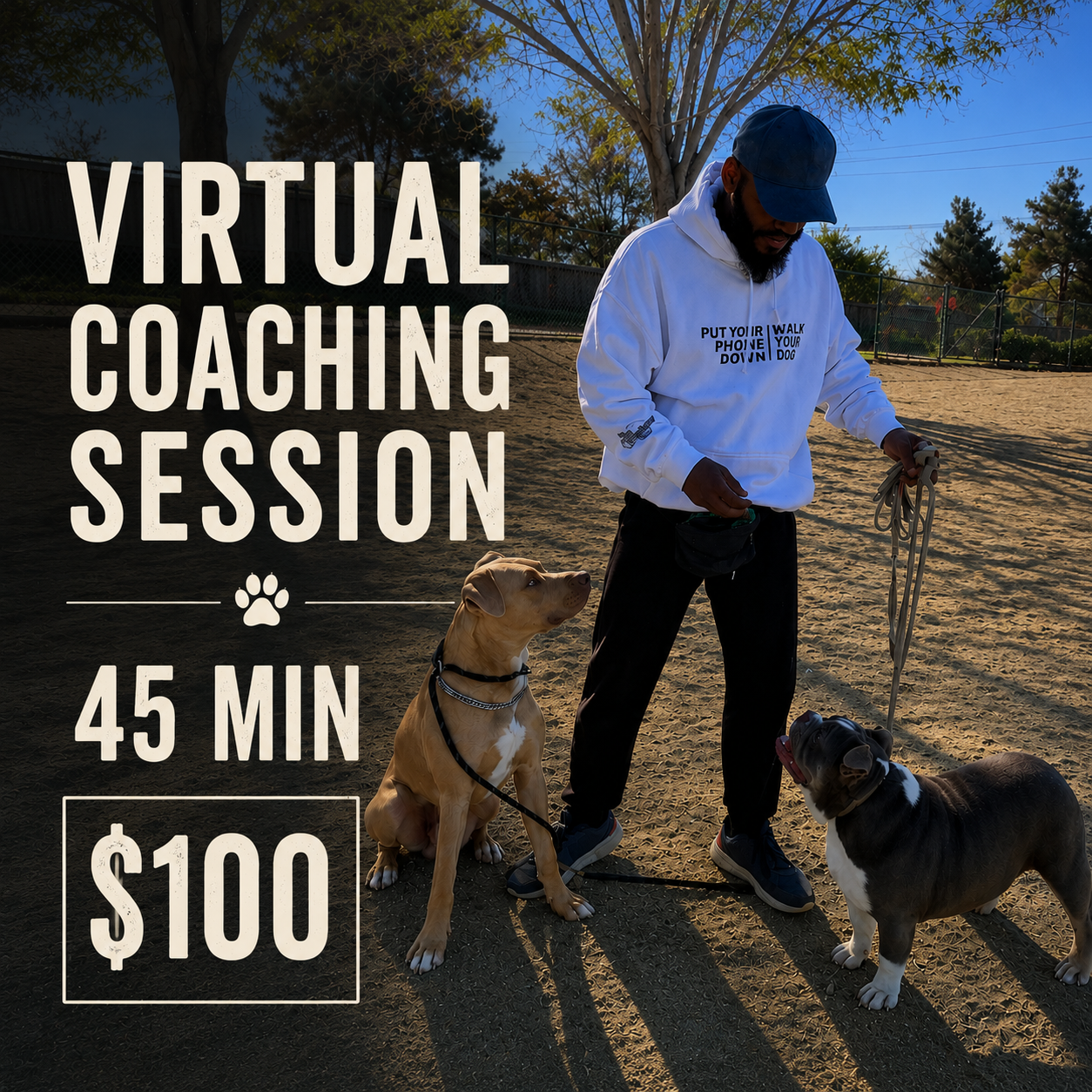 Dog Virtual Coaching Session