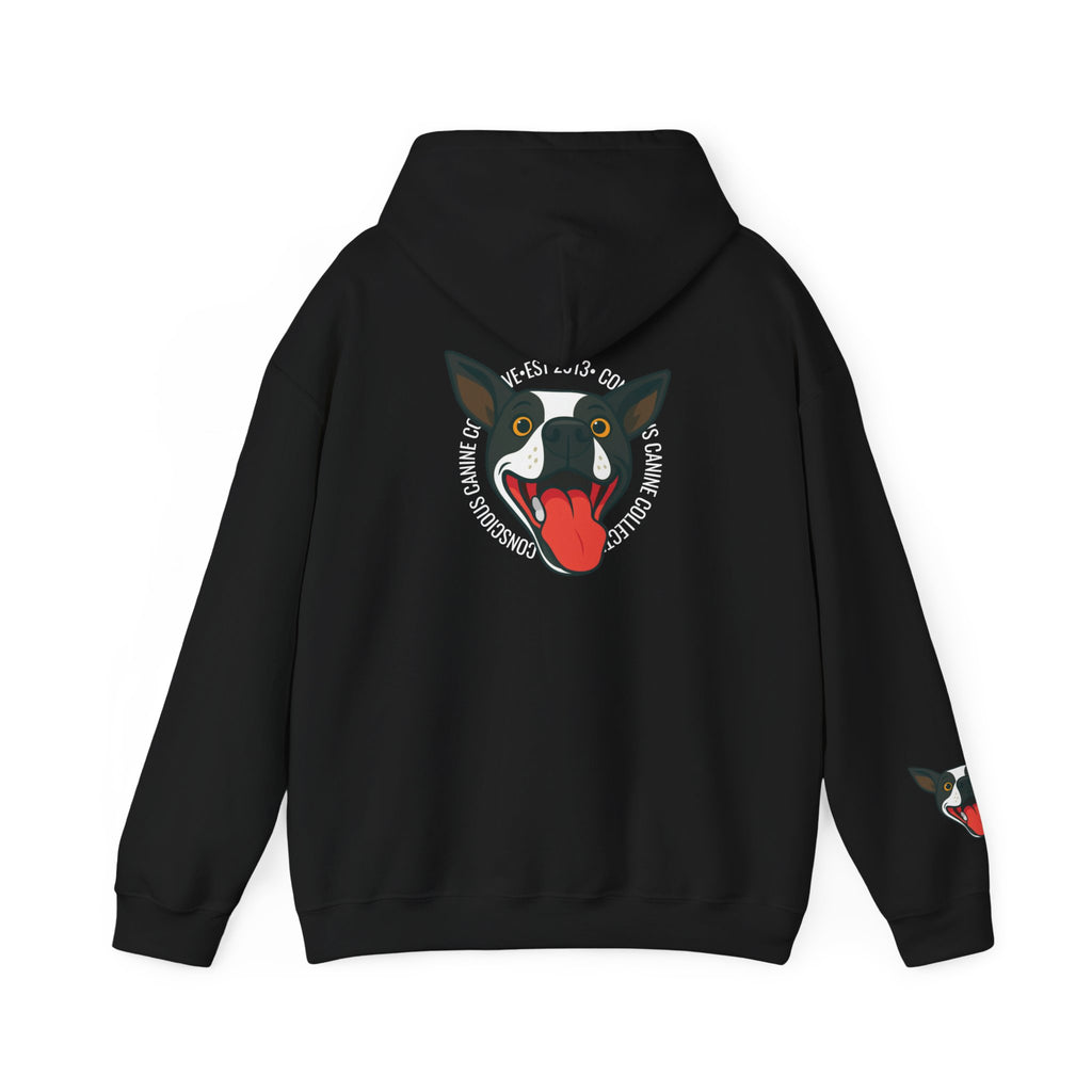 Stay together Play together - Hoodie