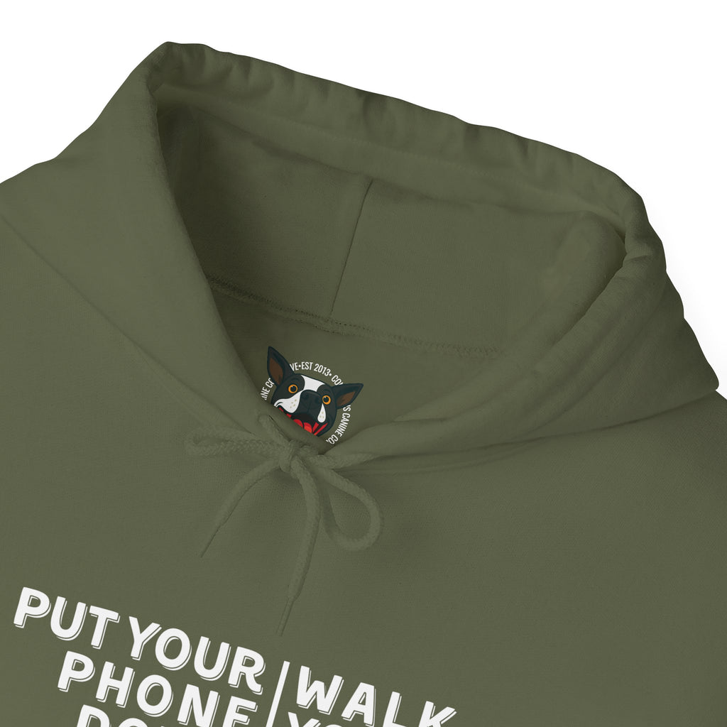 Put your phone down\Walk your dog™- Hoodie