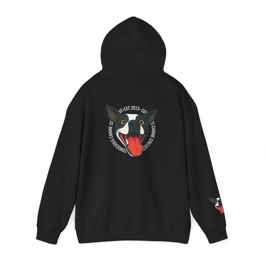 Stay together Play together - Hoodie