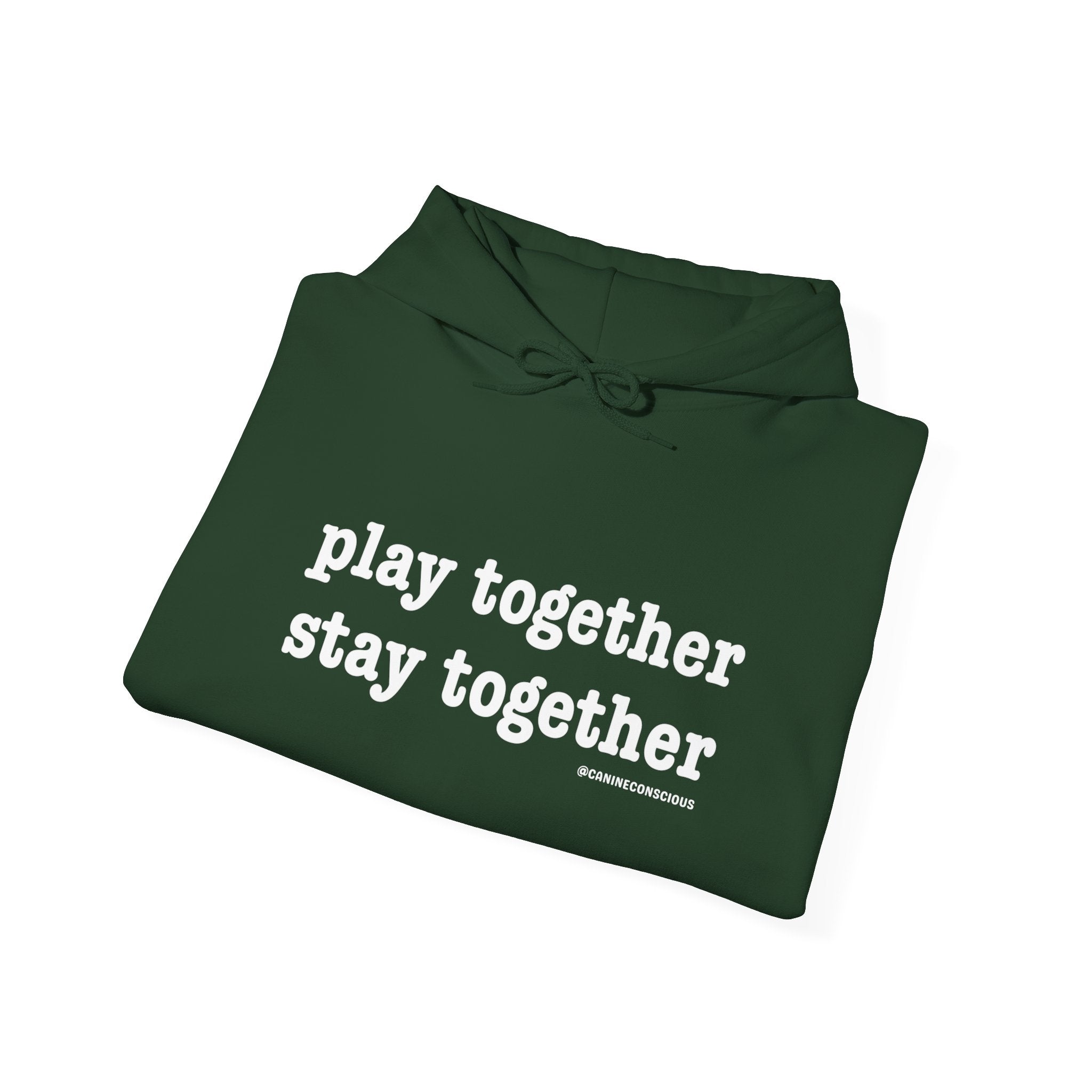 Stay together Play together - Hoodie