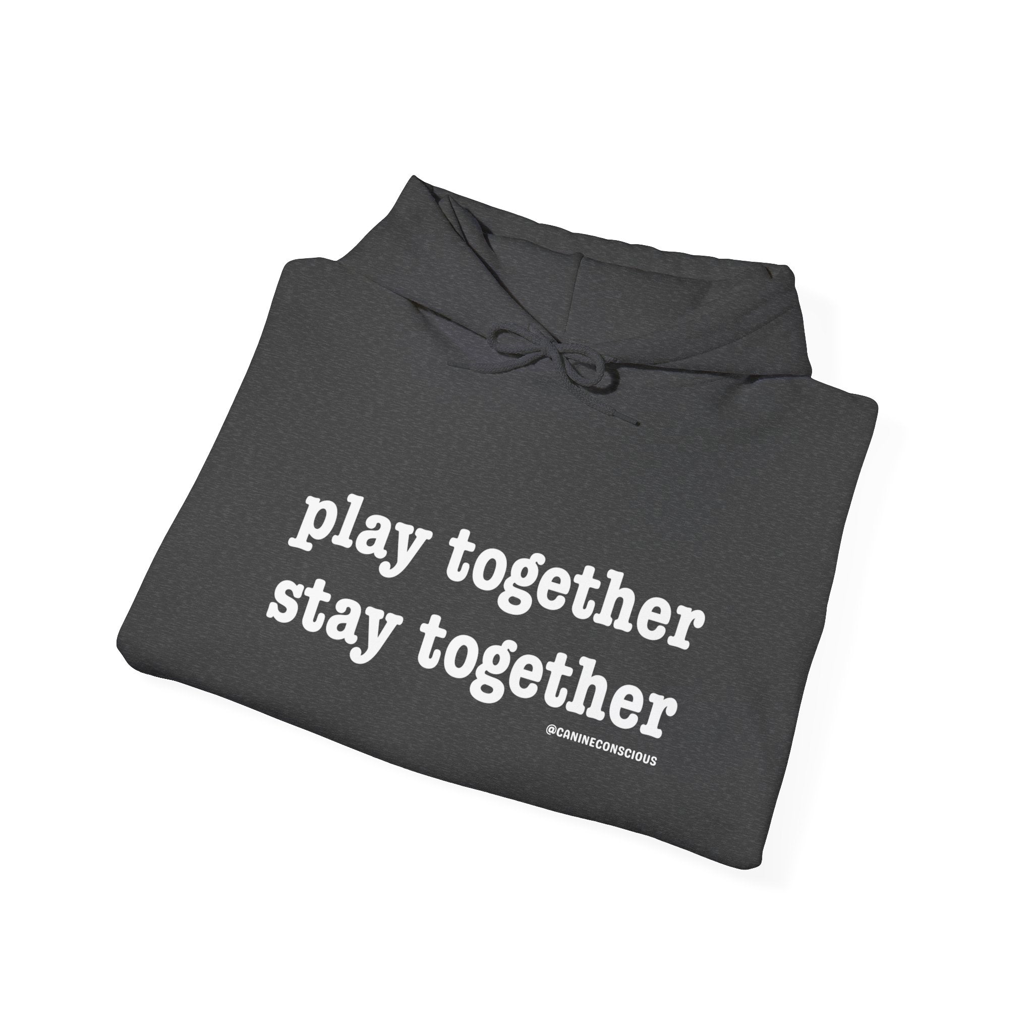 Stay together Play together - Hoodie