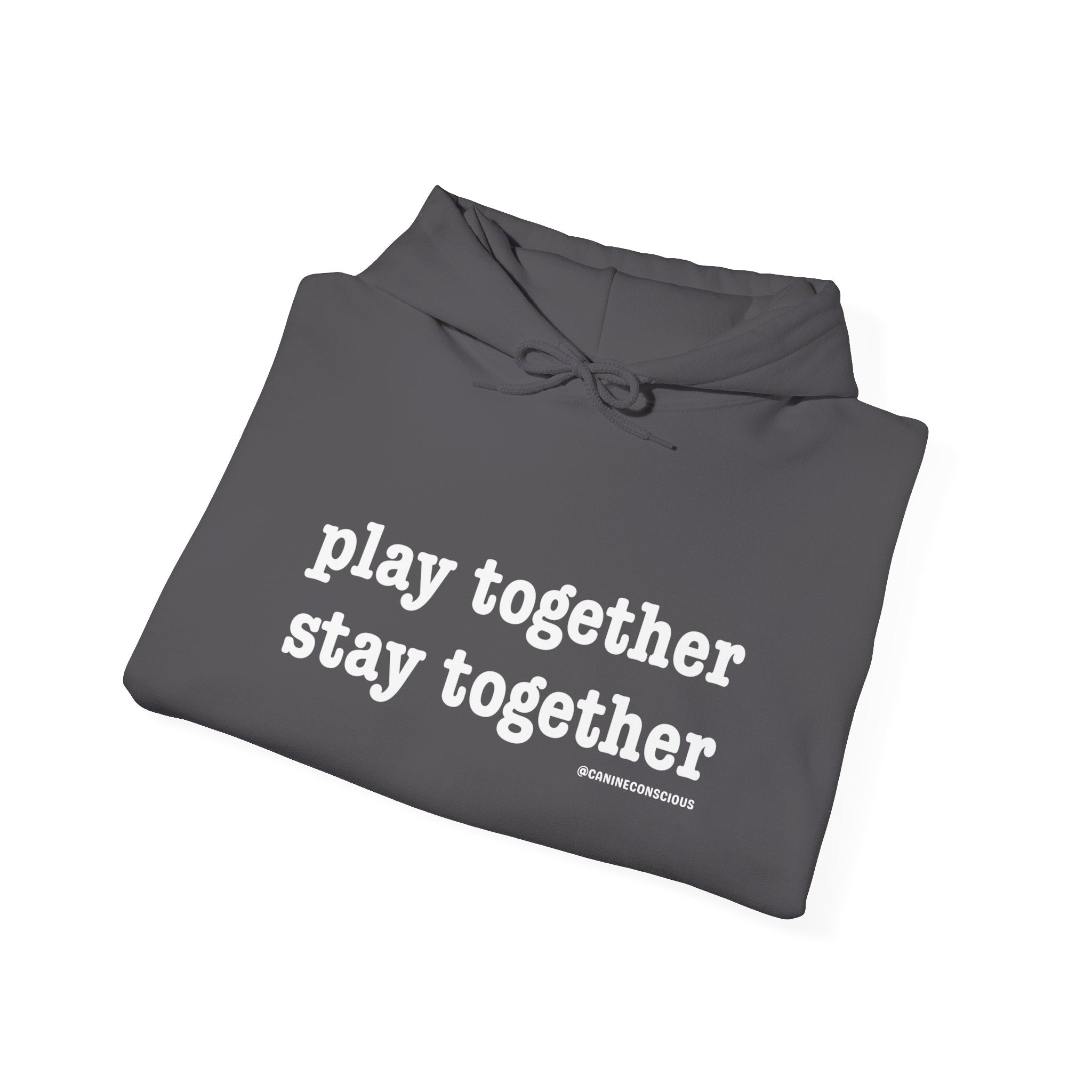 Stay together Play together - Hoodie