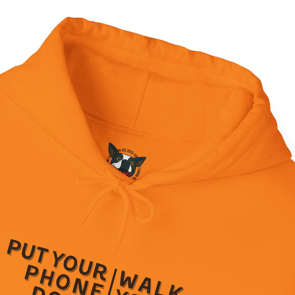 Put your phone down\Walk your dog™- Hoodie