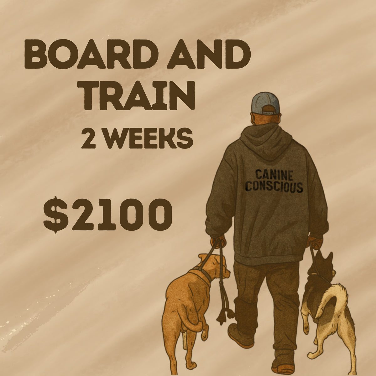Board and Train Package: 2 weeks Intensive Doggie Behavioral training