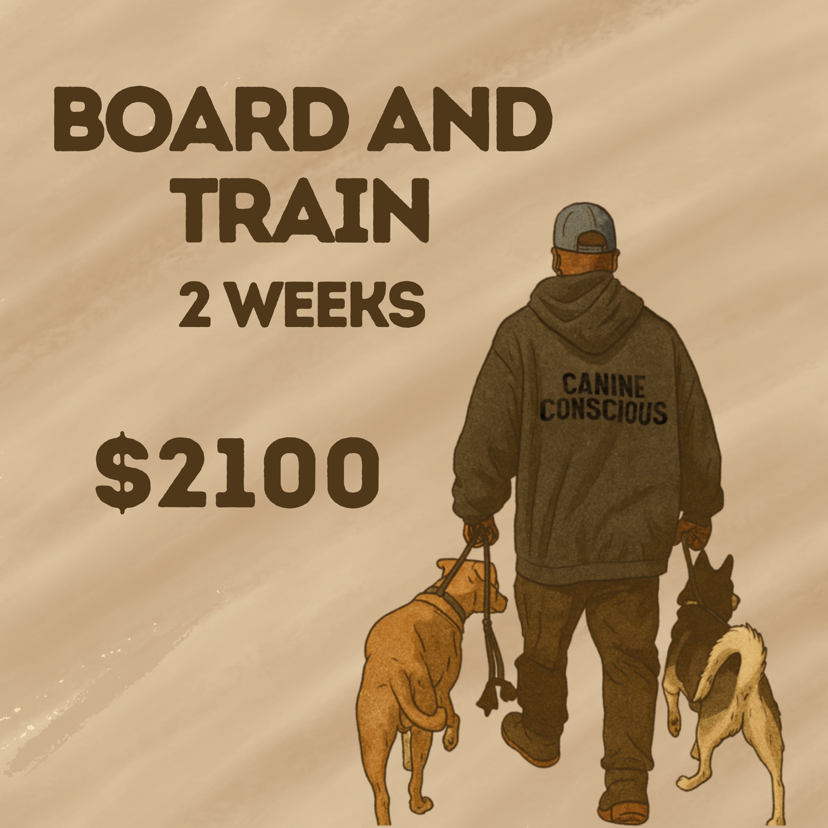 Board and Train Package: 2 weeks Intensive Doggie Behavioral training
