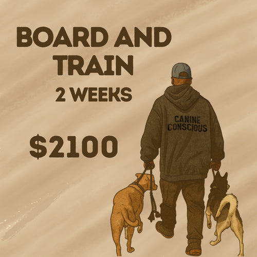 Board and Train Package: 2 weeks Intensive Doggie Behavioral training