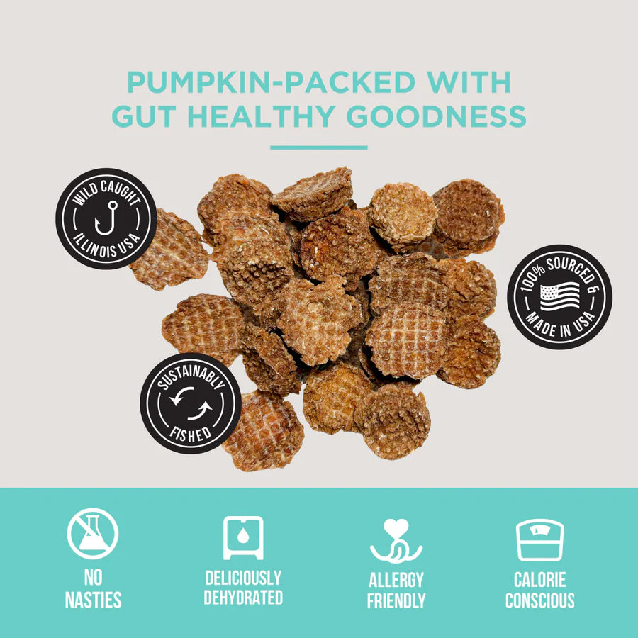 Dehydrated Silver Carp