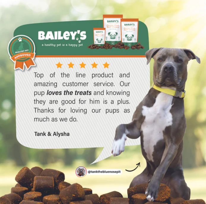 Omega Hemp CBD Soft Chews